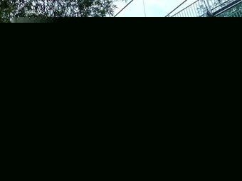 冶金電動(dòng)葫蘆的結(jié)構(gòu)特性